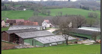 La Ferme des Collet à Vicq-Sur-Breuilh_2