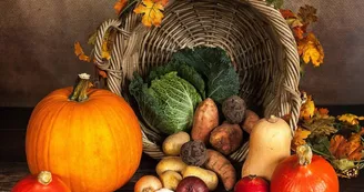 Ferme de la Coulinière - Légumes_1