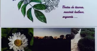 La Chouette Douceur - Plantes aromatiques et médicinales_2