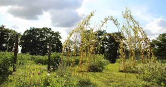 Ô jardin des chênes