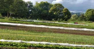 Les jardins d'Hélène Champ