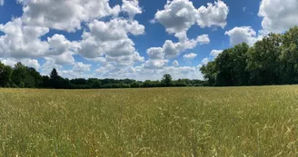 Ferme de la Chouette Blanche, Javerdat