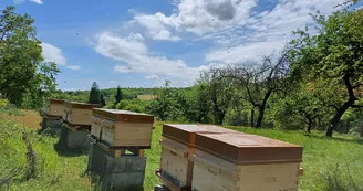 La Ferme aux abeilles