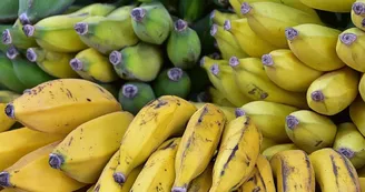 bananas-8364511_1280