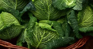 savoy-cabbage-3860933_1280