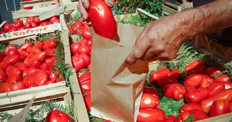 Marché traditionnel