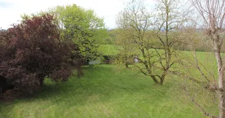 Gite des Hauts de Bosmie, commune de Bosmie L'Aiguille en Limousin - pelouse ombragée côté terrasse_2