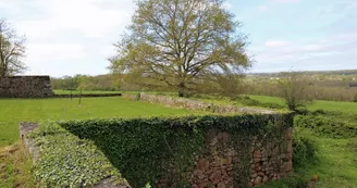 Gite des Hauts de Bosmie, commune de Bosmie L'Aiguille en Limousin - le mur de clôture côté prairie_23