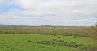 Gite des Hauts de Bosmie, commune de Bosmie L'Aiguille en Limousin - vue prairie_26