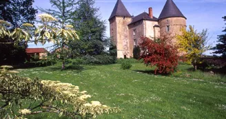 Gite" La Valade" à Champagnac La Riviere en Haute-Vienne (Limousin), le chateau de Brie_30