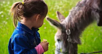 Yourtes de la Ferme des Anes de Vassivière_10