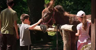 Yourtes de la Ferme des Anes de Vassivière_14