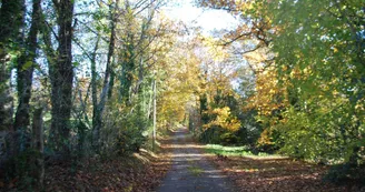 Chambres d’hôtes Référence Maison du Masjoubert_7