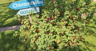 Chambre d'hôtes "Lombardie" à Eyjeaux en Haute-Vienne_2