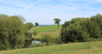 Chambre d'hôtes "Lombardie" à Eyjeaux en Haute-Vienne (Limousin)_17