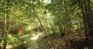 La bulle des Bois de Saint Auvent à La Geneytouse en Haute-Vienne (Nouvelle Aquitaine) _13