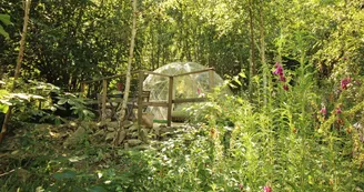 La bulle des Bois de Saint Auvent à La Geneytouse en Haute-Vienne (Nouvelle Aquitaine) _9