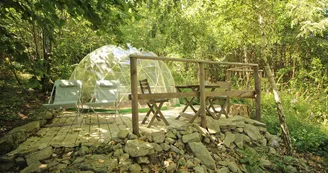 La bulle des Bois de Saint Auvent à La Geneytouse en Haute-Vienne (Nouvelle Aquitaine)_1