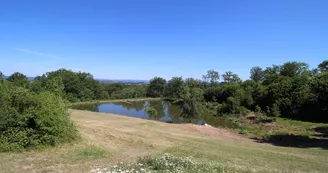 Les Bois de Saint Auvent à La Geneytouse en Haute-Vienne (Nouvelle Aquitaine)_42