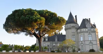 Château de Bort à Saint Priest Taurion en Haute-Vienne (Nouvelle Aquitaine)_64