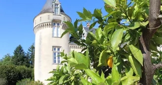 Château de Bort à Saint Priest Taurion en Haute-Vienne (Nouvelle Aquitaine)_53