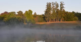 Château de Bort à Saint Priest Taurion en Haute-Vienne (Nouvelle Aquitaine) - Etang_59