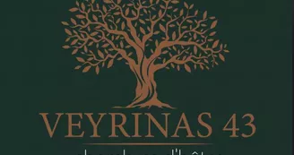 logo Veyrinas