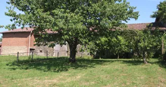 Chambres d'hôtes "Les Seychas" à Séreilhac en Haute-Vienne (Limousin)_26