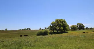 Chambres d'hôtes "Les Seychas" à Séreilhac en Haute-Vienne (Limousin)_3