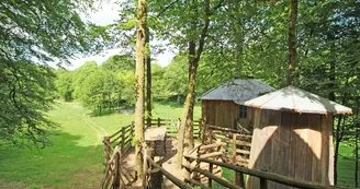 Cabane du "Vieux Huraud" à Saint Sylvestre en Haute-Vienne (Nouvelle Aquitaine)_33