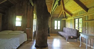 Cabane du "Vieux Huraud" à Saint Sylvestre en Haute-Vienne (Nouvelle Aquitaine) - petite cabane_19