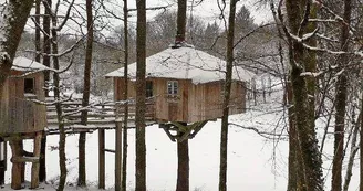 Cabane du "Vieux Huraud" à Saint Sylvestre en Haute-Vienne (Nouvelle Aquitaine)_40