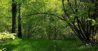 Meublé de tourisme le Moulin de la Forge_BOIS_6