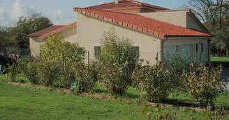 Gîte du pin parasol à Arnac la Poste en Haute-Vienne (Nouvelle Aquitaine)
Façade Est_35