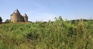 Gite" Le Pressoir" à Champagnac La Riviere en Haute-Vienne, chateau de Brie_15