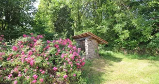 Gite" La Garenne" à Champagnac La Riviere en Haute-Vienne, le rosier et le puit_17