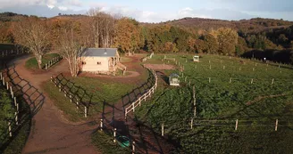 Open Range, gîte à Château-Chervix en Haute-Vienne (Limousin)_26