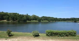 Gite "Le Lac" à Châteauneuf La Forêt en Haute-Vienne (Limousin en Nouvelle Aquitaine)_16