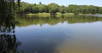 Gite "Le Lac" à Châteauneuf La Forêt en Haute-Vienne (Limousin en Nouvelle Aquitaine)_15