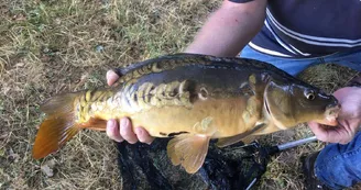 Gite Les Chataigniers à Cussac Hameau de La Maridele en Haute-Vienne_20