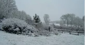 jardin sous la neige_26