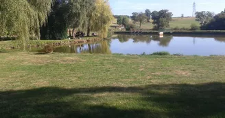 Etang de pêche près de l'aire de jeux communale à 1km_22