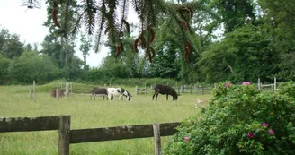 Gite "Peyrahout" à Javerdat en Haute-Vienne (Limousin en Nouvelle Aquitaine)_45