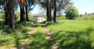 Chez Germaine, gîte à Salas sur la commune de La Chapelle Montbrandeix en Haute-Vienne_2