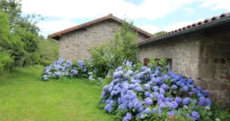 Chez Germaine, gîte à Salas sur la commune de La Chapelle Montbrandeix en Haute-Vienne_17