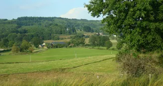 Gite "Les Rouchoux" à La Croisille Sur Briance  en Haute-Vienne (Limousin en Nouvelle Aquitaine)_15