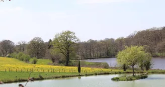 Gite "Le Duveix" à Linards  en Haute-Vienne (Limousin en Nouvelle Aquitaine)_23