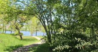 Gite "Royer - Etang de La Roche" à Meuzac en Haute-Vienne (Limousin)_12