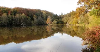 Gite "Le Congé " à Moissannes  en Haute-Vienne (Limousin en Nouvelle Aquitaine)_2