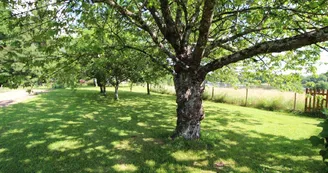 Gîte de Combrouze à Nexon en Haute-Vienne (Nouvelle Aquitaine))_27